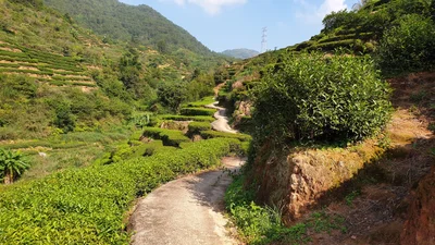 Anxi - Photo 2