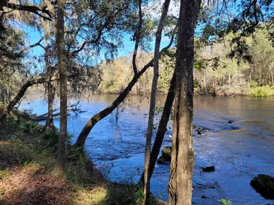 High Springs - Photo 3