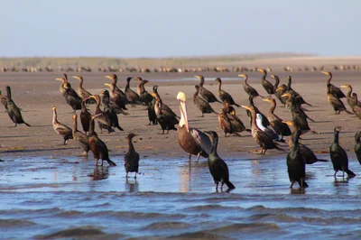 Magdalena Bay - Photo 3