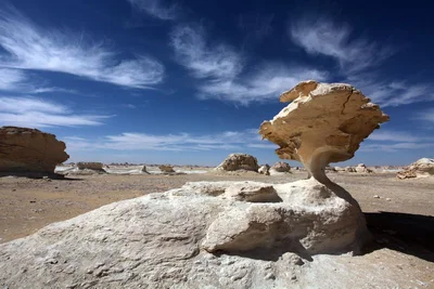 Al Wadi Al Gadid Desert - Photo 5