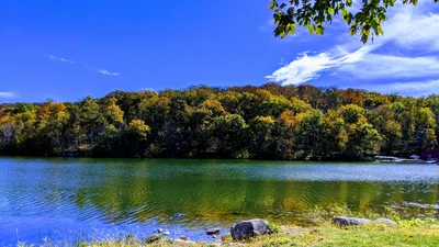 Ringwood - Photo 5