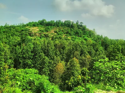 Manpur Tahsil - Photo 2
