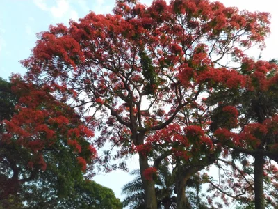 Mohanpur - Photo 2