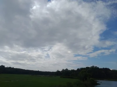 Mohanpur - Photo 3