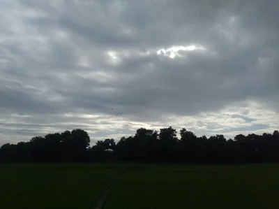 Mohanpur - Photo 4