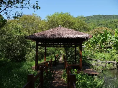 Guangfu - Photo 5