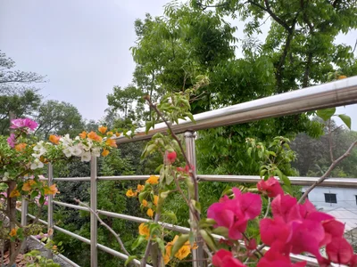 Madhukhali - Photo 2