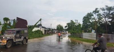 Jolaibari - Photo 5