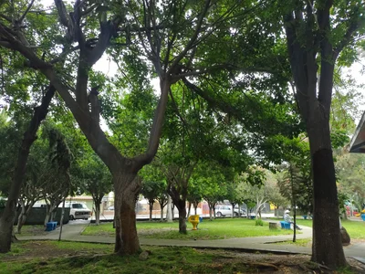 Calle Buena Vista - Photo 3