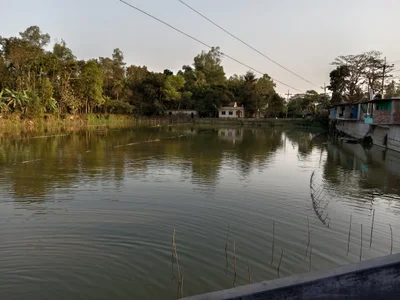 Mirsharai - Photo 2