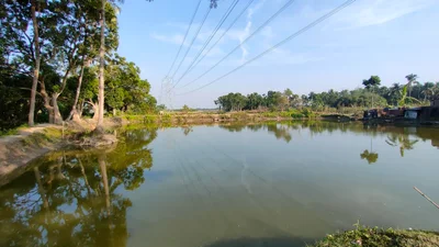 Chakla - Photo 3