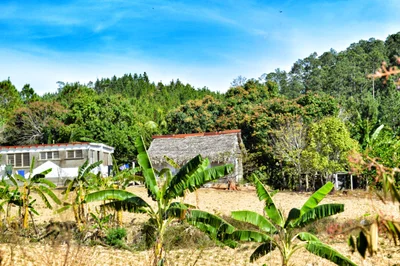 Minas de Matahambre - Photo 4