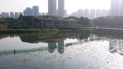 Yuen Long District - Photo 3