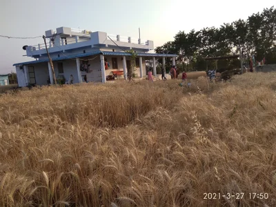 Sohagpur Tahsil - Photo 2