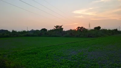Sohagpur Tahsil - Photo 5