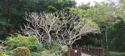 Tsuen Wan District - Photo 4