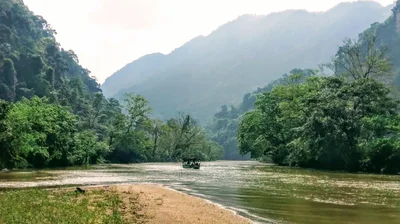 Nam Mau - Photo 5