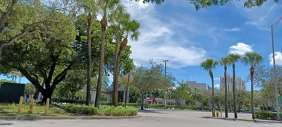 Palmetto Bay - Photo 4
