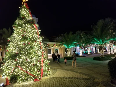 Palmetto Bay - Photo 5