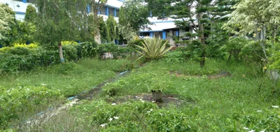 Gosaba - Photo 3