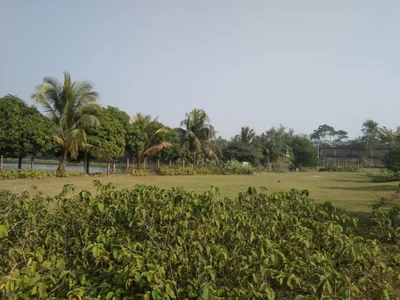 Rangabali Upazila - Photo 2