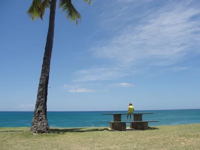 Waianae - Photo 4