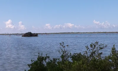 Inagua - Photo 3