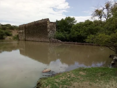 Ibarrilla - Photo 3