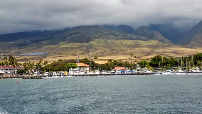 Maui County - Photo 2