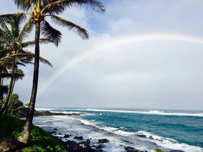Paia - Photo 3