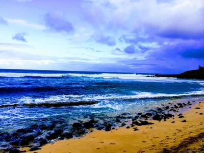 Paia - Photo 4