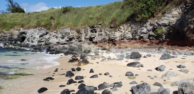 Paia - Photo 5