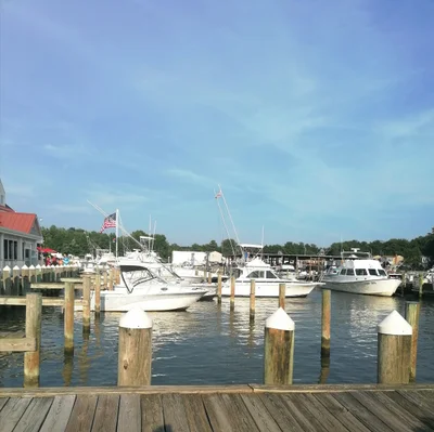 Kent Island - Photo 4