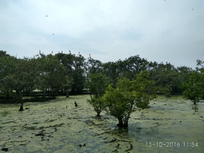 Rajnagar - Photo 2