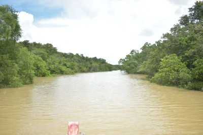 Rajnagar - Photo 3