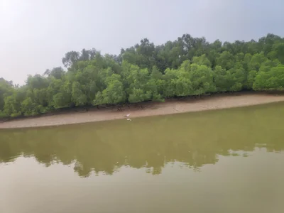 Rajnagar - Photo 5