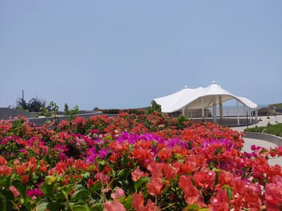 Diu - Photo 3