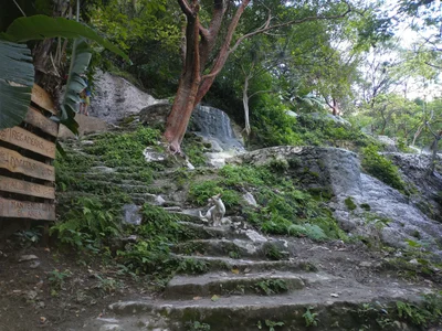 Cardonal - Photo 2