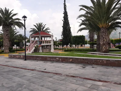 Cardonal - Photo 5
