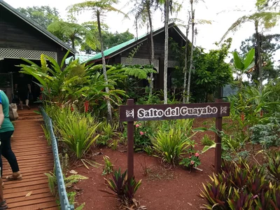 Salto del Guayabo - Photo 4