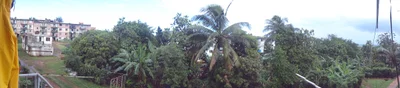 Moa - Photo 5