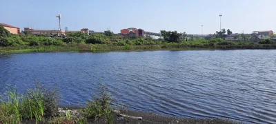 Paradip - Photo 3