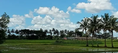 Nimapada - Photo 3