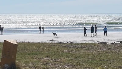 Melkbosstrand - Photo 5