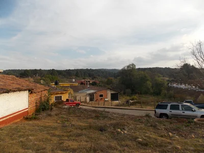 La Manzanilla de la Paz - Photo 5