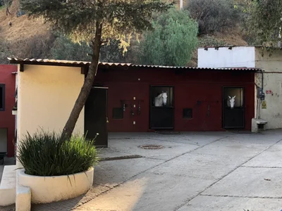 Paseo de la Barranca - Photo 2