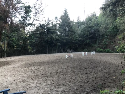 Paseo de la Barranca - Photo 3