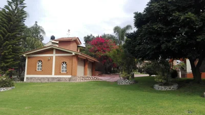 Yerbabuena - Photo 3