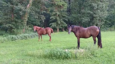 Etowah - Photo 3