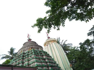 Dengadi - Photo 3